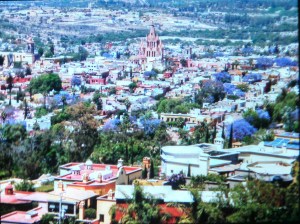 IMG_20141231_180159_229-1